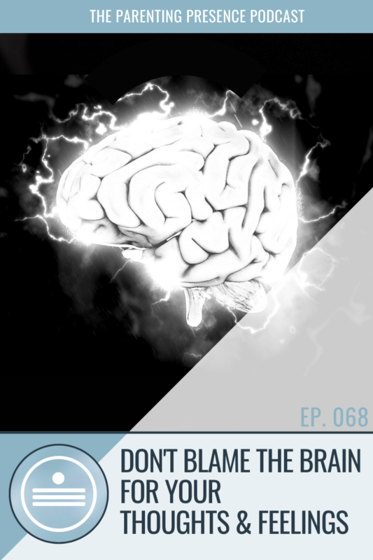 Don't Blame The Brain for Your Thoughts & Feelings